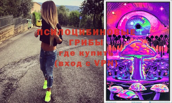 молекула духа Алзамай