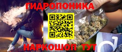 ПСИЛОЦИБИНОВЫЕ ГРИБЫ Коммунар