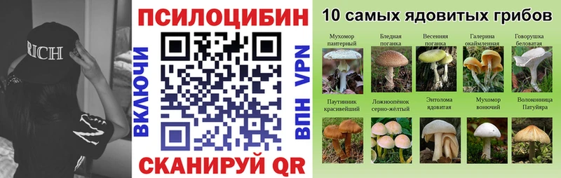 это официальный сайт  Слободской  Галлюциногенные грибы GOLDEN TEACHER 
