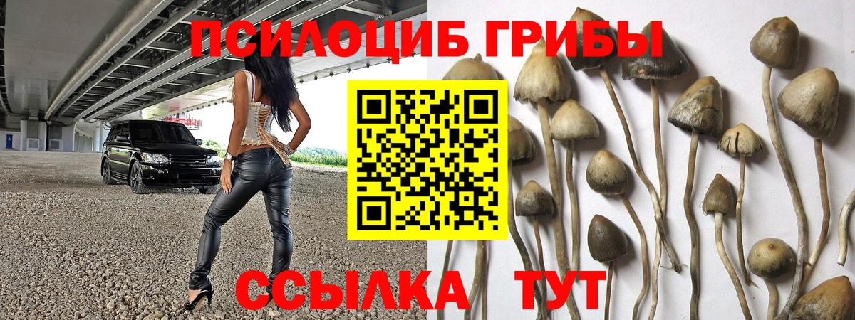 Псилоцибиновые грибы мухоморы  Вход с VPN  Слободской 